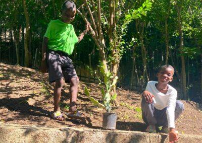 Planting to benefit the next generation